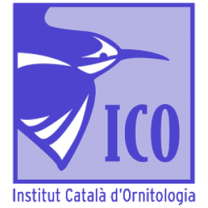 Cliente de Berrly